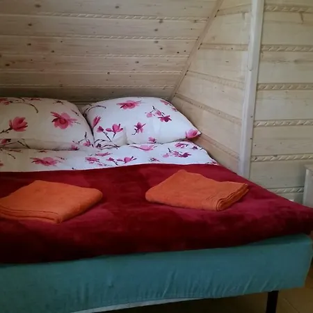 Domki Letniskowe Rabka-zdroj Lodge *